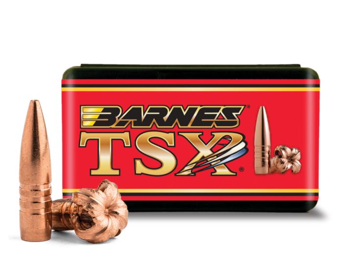 Barnes TSX Bullet